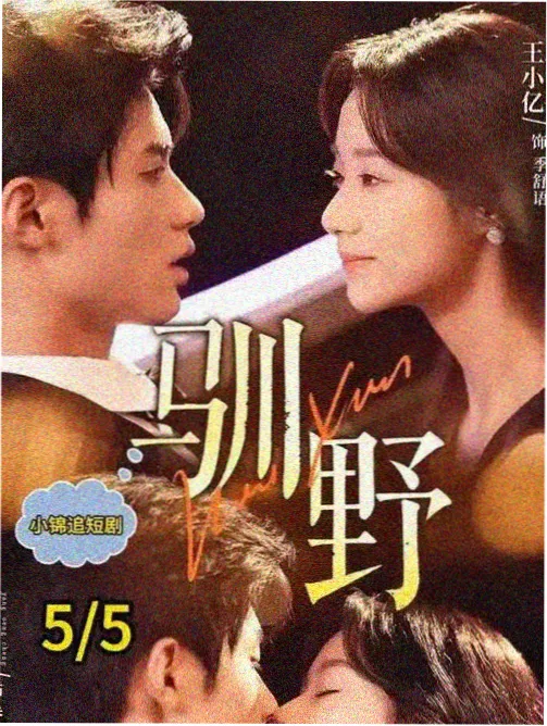 星辰迷案·暗夜追凶 更新海报